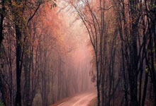 新产品模具申请表表格，模具申请单怎么写