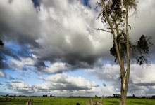 新产品模具申请表表格，模具申请单怎么写